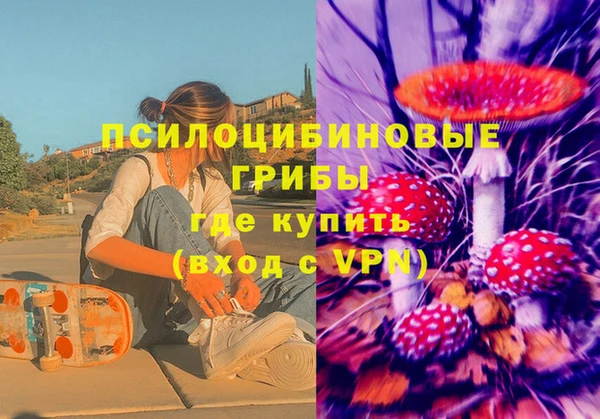 ГАЛЛЮЦИНОГЕННЫЕ ГРИБЫ Абинск
