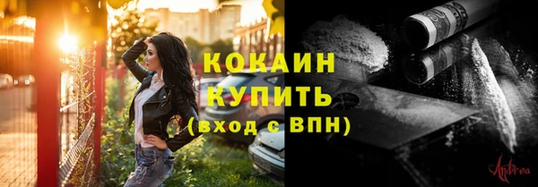 стаф Покровск